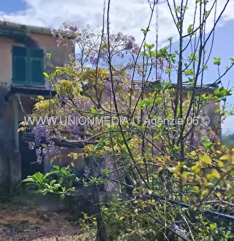 Foto annuncio 5
