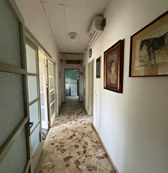 Foto annuncio 35