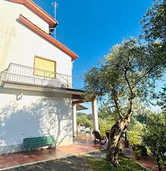 Foto annuncio 7