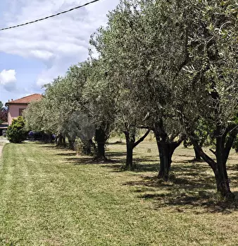 Foto annuncio 20