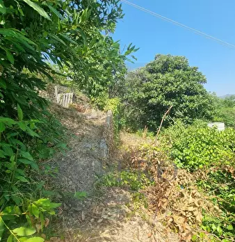 Foto annuncio 3