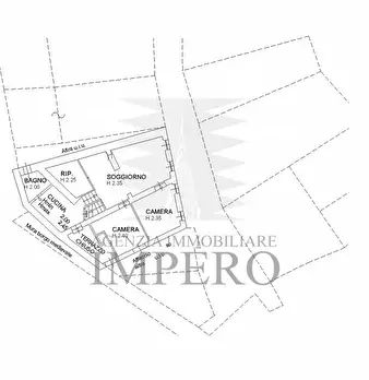 Foto annuncio 28