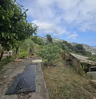 Foto annuncio 22