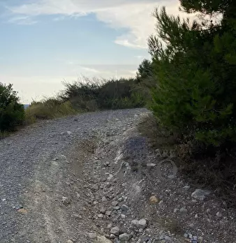 Foto annuncio 19