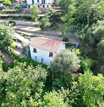 Foto annuncio 20
