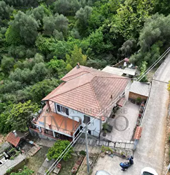 Foto annuncio 47
