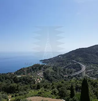 Foto annuncio 47
