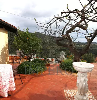 Foto annuncio 26