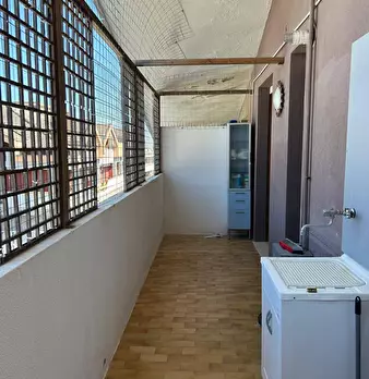 Foto annuncio 10