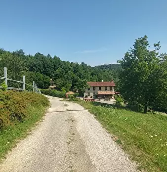 Foto annuncio 33