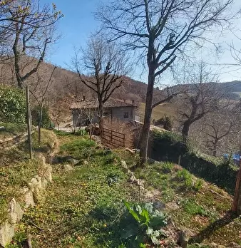 Foto annuncio 36