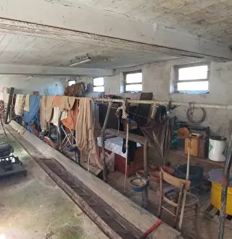 Foto annuncio 31