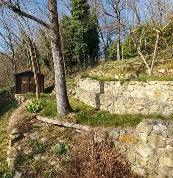 Foto annuncio 34