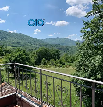 Foto annuncio 5