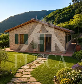 Foto annuncio 21