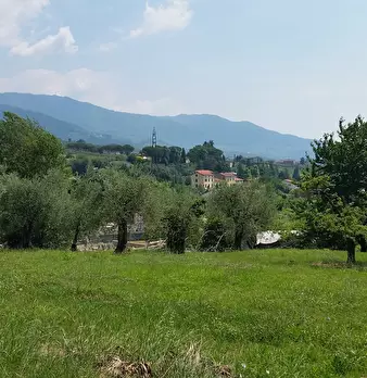 Foto annuncio 4