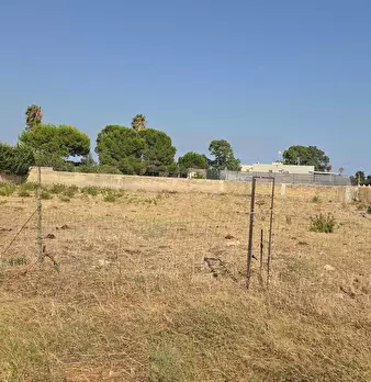 Foto annuncio 5