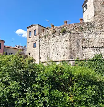 Foto annuncio 7