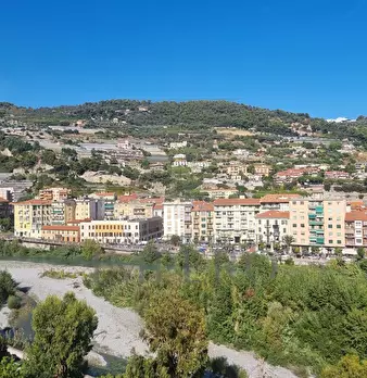 Foto annuncio 27
