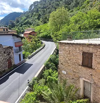 Foto annuncio 4