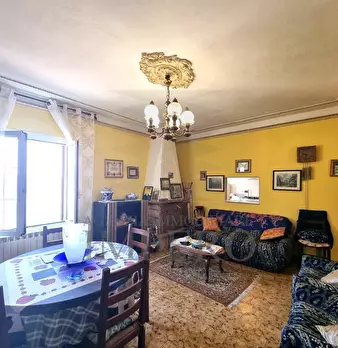 Foto annuncio 36