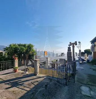 Foto annuncio 47
