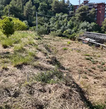 Foto annuncio 22