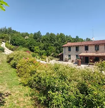 Foto annuncio 1