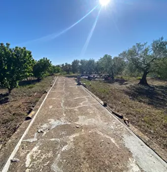 Foto annuncio 1