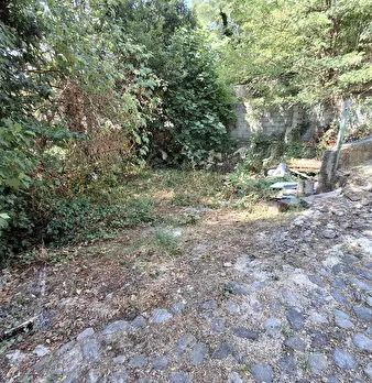 Foto annuncio 18