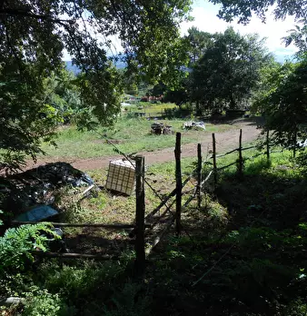 Foto annuncio 10