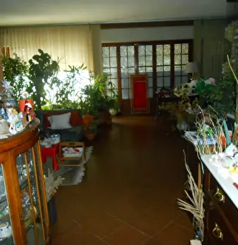 Foto annuncio 8