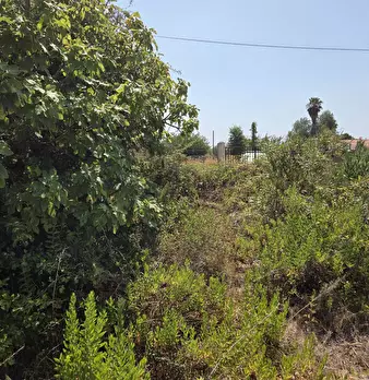 Foto annuncio 7