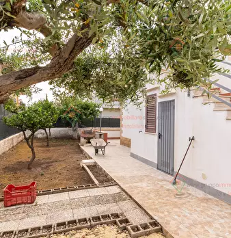 Foto annuncio 24