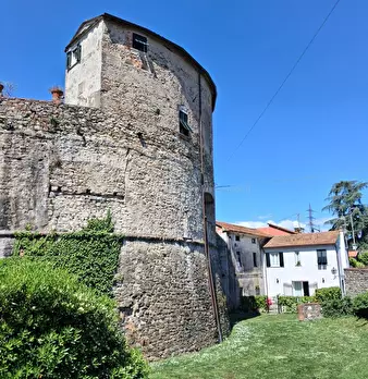Foto annuncio 6