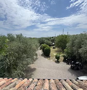 Foto annuncio 49