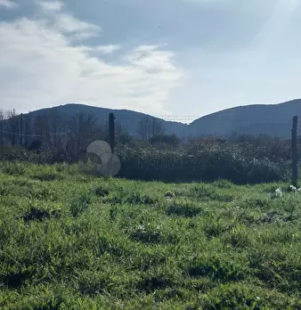 Foto annuncio 15