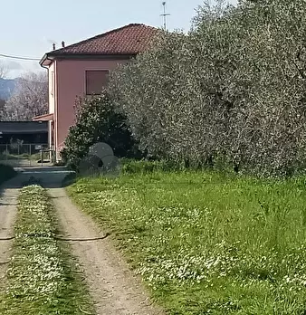 Foto annuncio 12