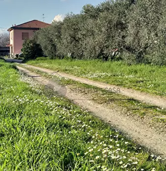 Foto annuncio 7