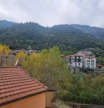 Foto annuncio 24