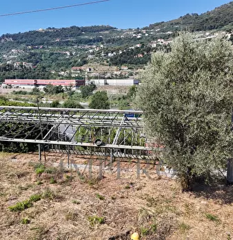 Foto annuncio 19