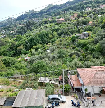 Foto annuncio 48