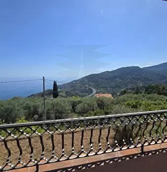 Foto annuncio 33