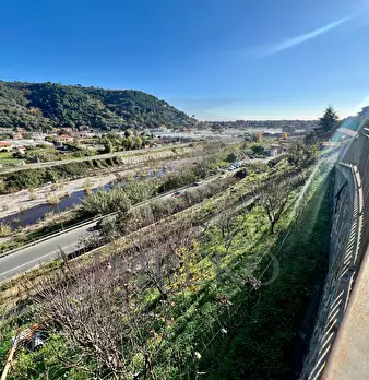Foto annuncio 43