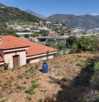 Foto annuncio 20