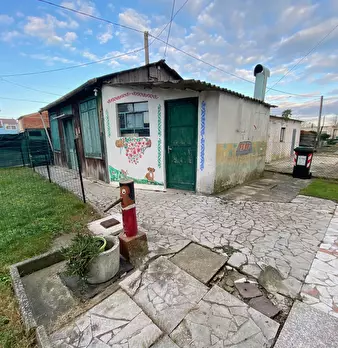 Foto annuncio 12