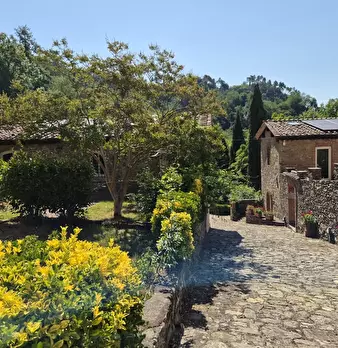 Foto annuncio 71