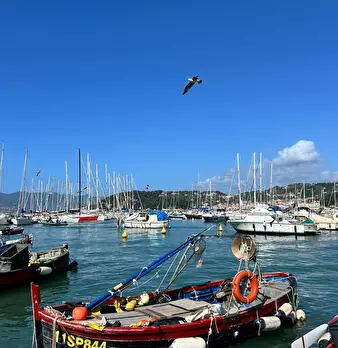 Foto annuncio 31