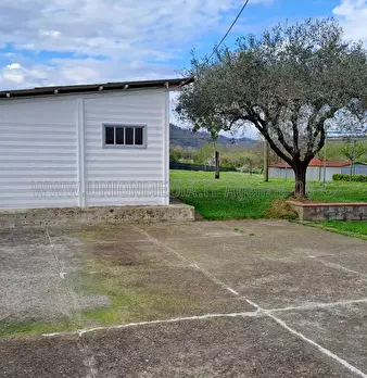 Foto annuncio 39
