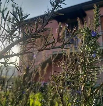 Foto annuncio 18